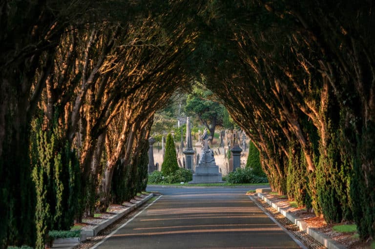 Glasnevin Cemetary is one of Dublin's Top Attractions close to DCU Rooms Budget Accommodation