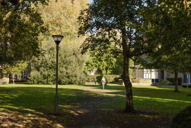 Grounds at DCU St. Patricks Campus