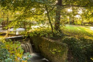 Botanic gardens Dublin near DCU Rooms