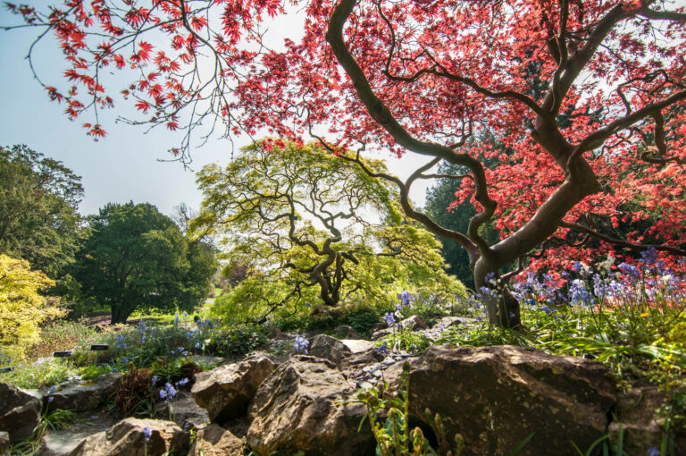 Botanic gardens Dublin near DCU Rooms hotel