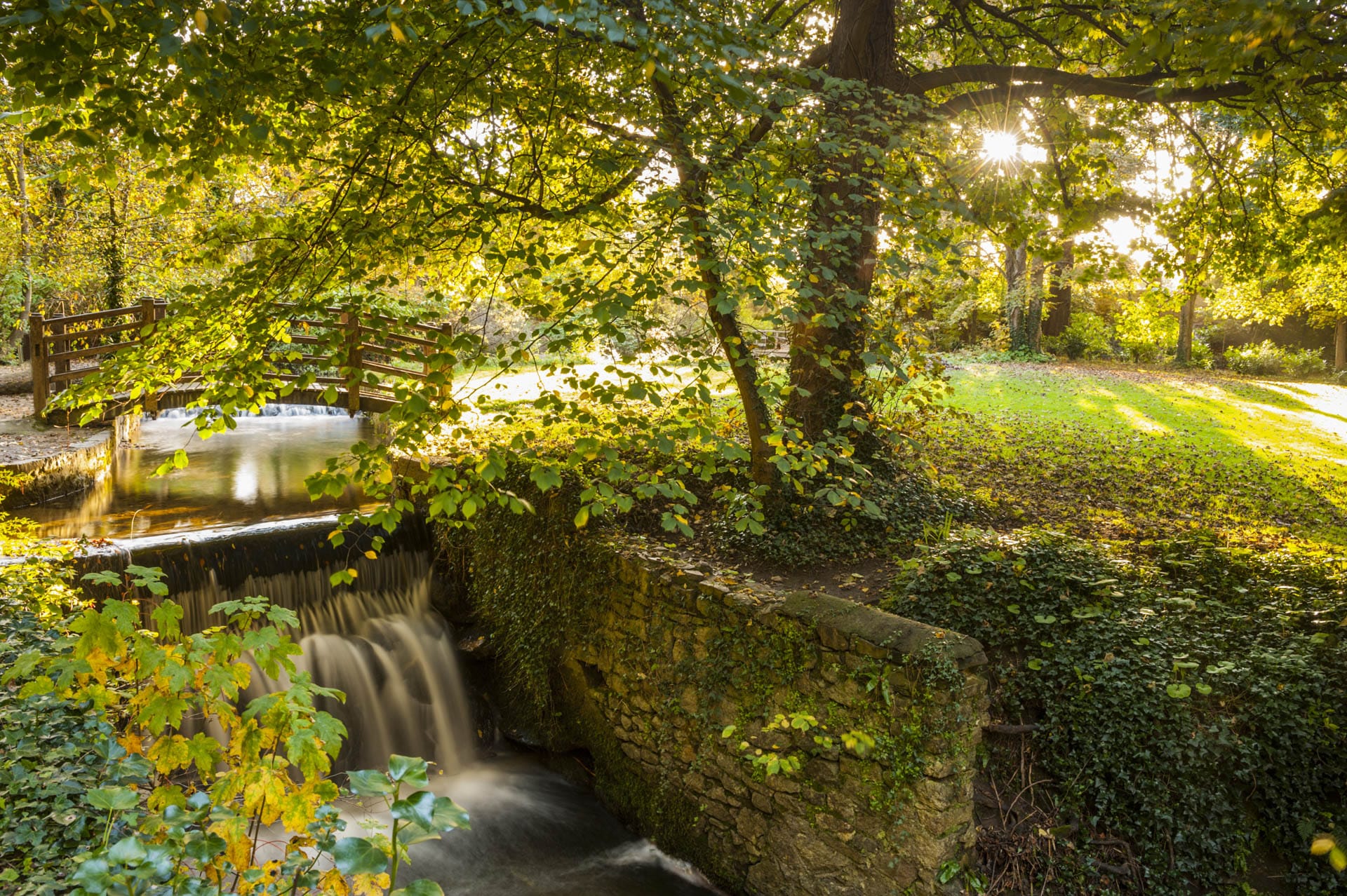 Botanic gardens Dublin near DCU Rooms