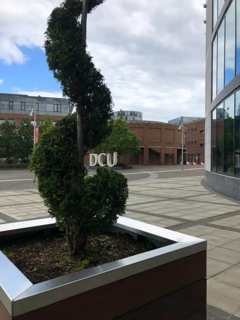 Plant Sculpture outside DCU Rooms