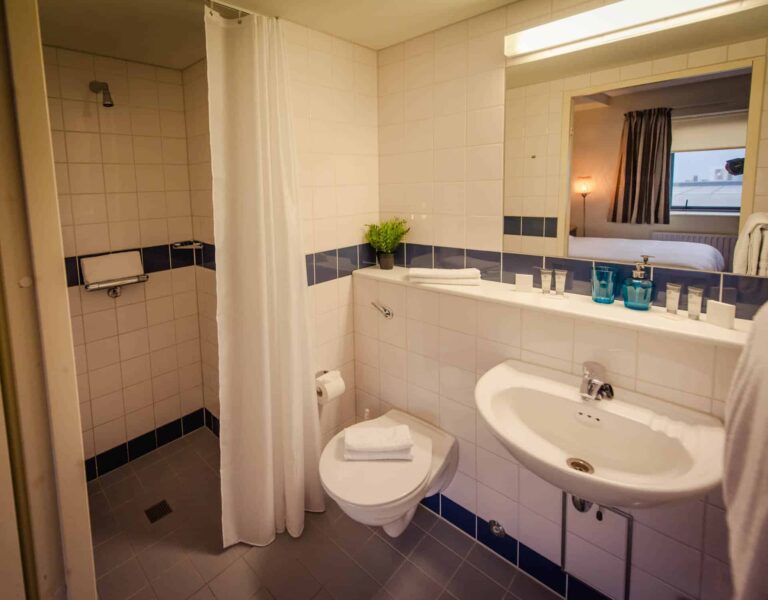 ensuite with shower, skin and toilet.
