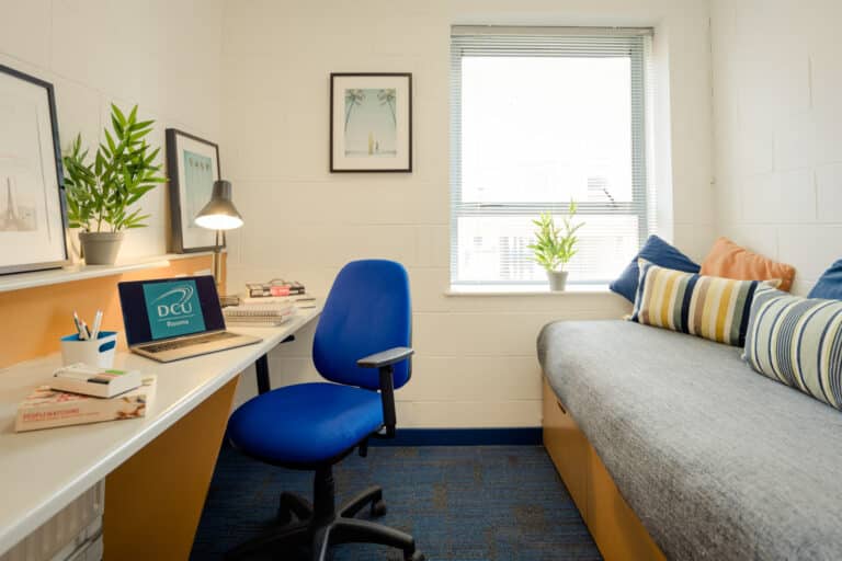 Bedroom with desk and books. Sofa bed.