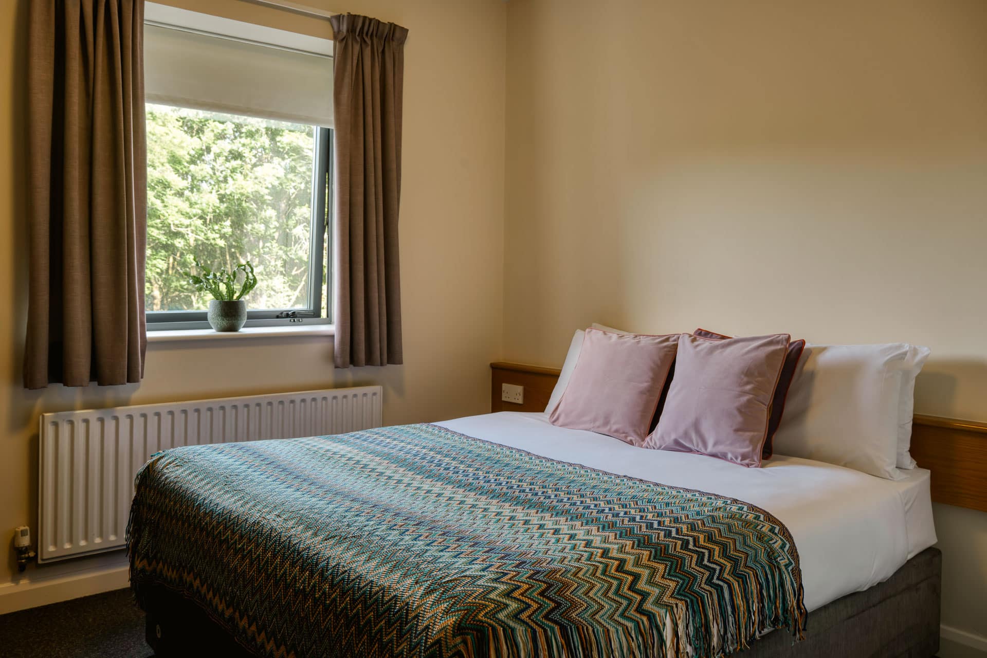 Bright single room with bed and blue accent wall.